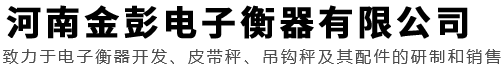 河南金彭電子衡器有限公司